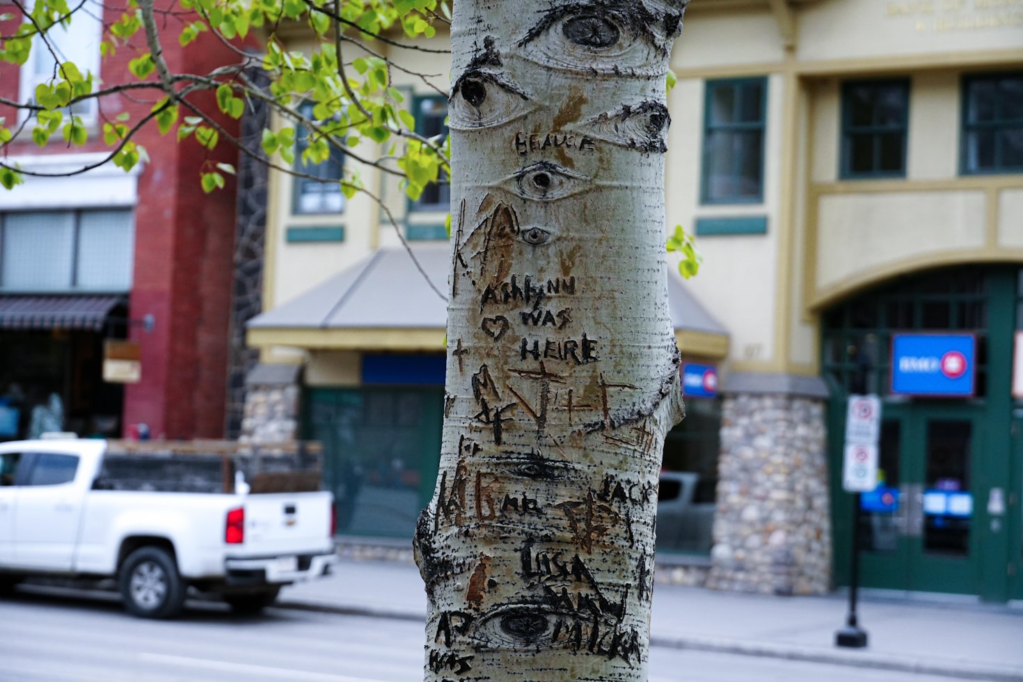 Significados dos nomes e sua influência na vida